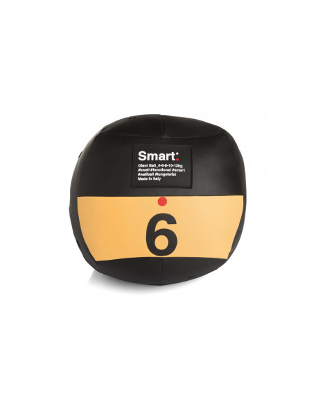 Ball GIANT BALL SMART 3