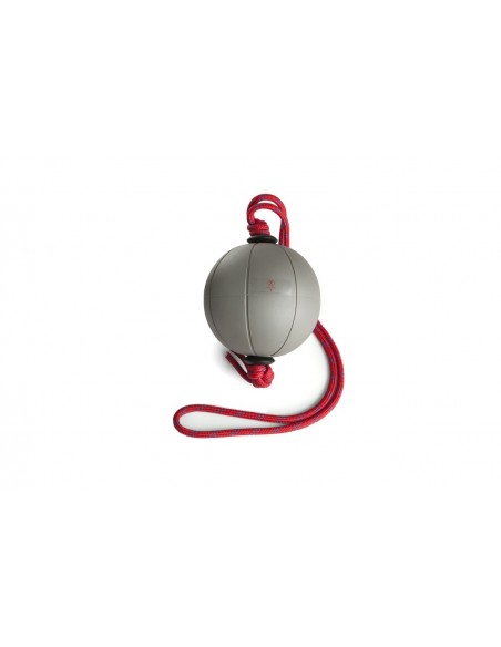 Allenamento Funzionale TORNADO BALL EXECUTIVE 1